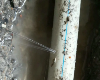 拉萨市卫生间测漏水多少钱